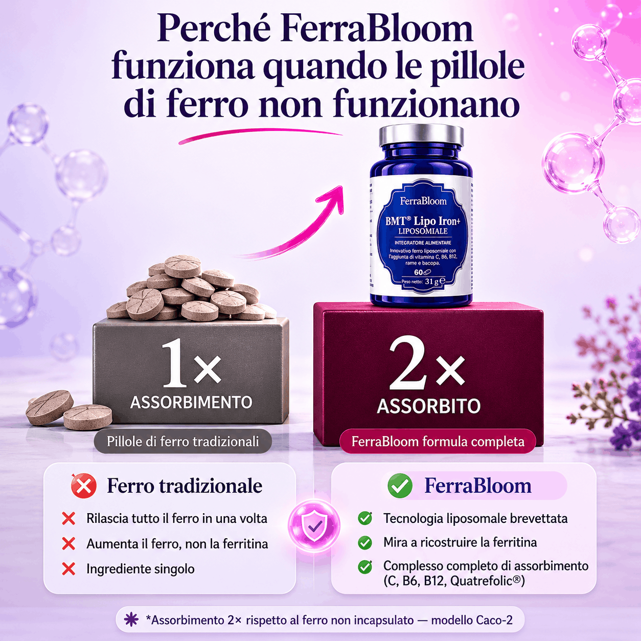 La tecnologia liposomiale LIPOSOVIT®-Fe