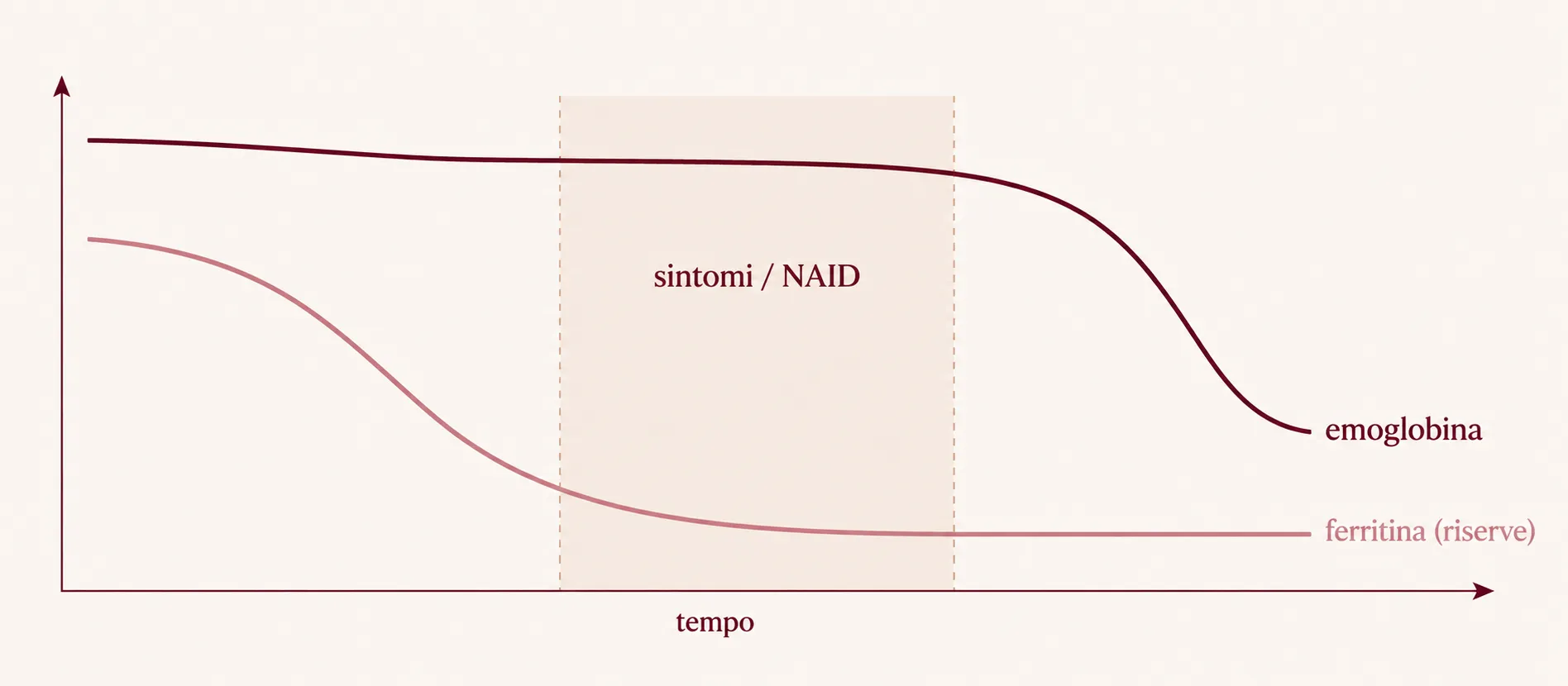 Diagram: feritín klesá skôr ako hemoglobín (nedostatok železa, NAID)